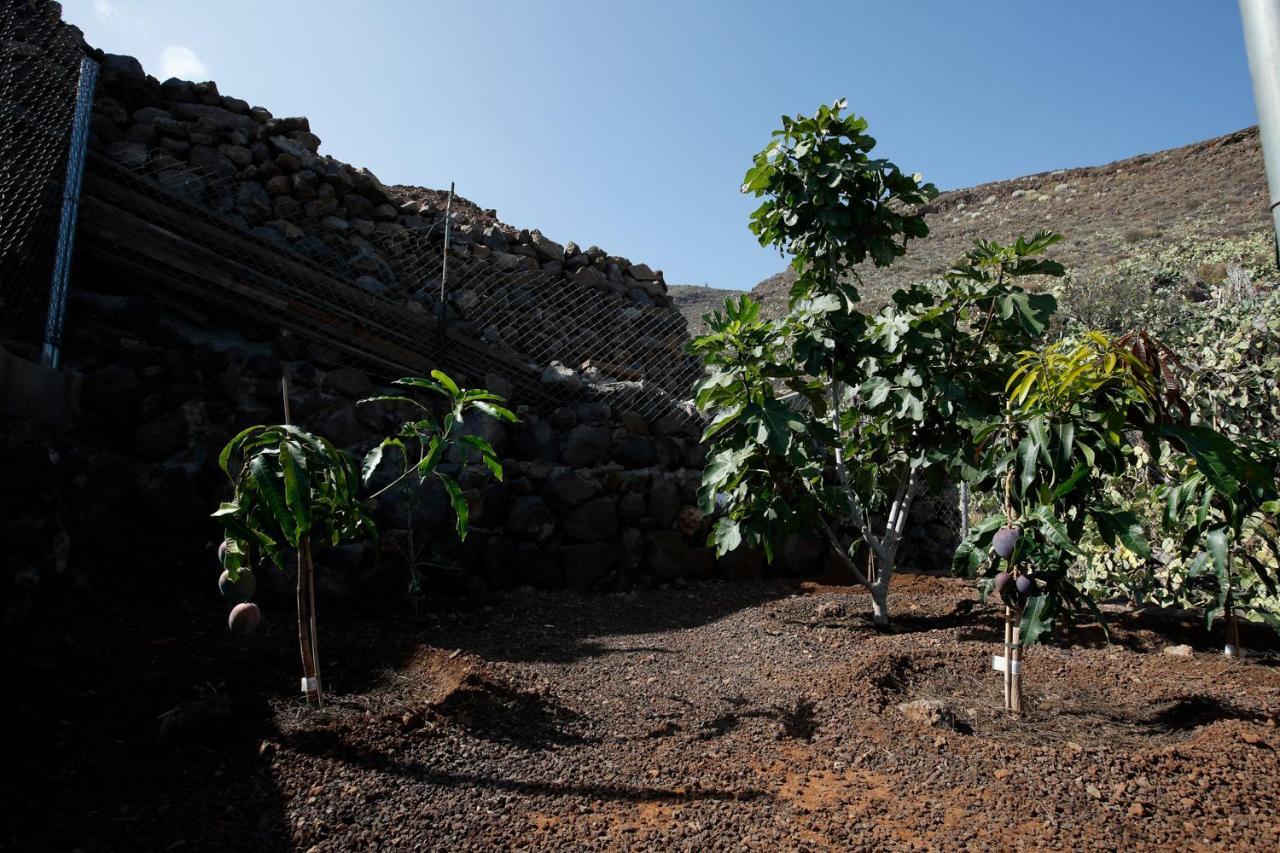 Candelaria'S Mountain House Dış mekan fotoğraf